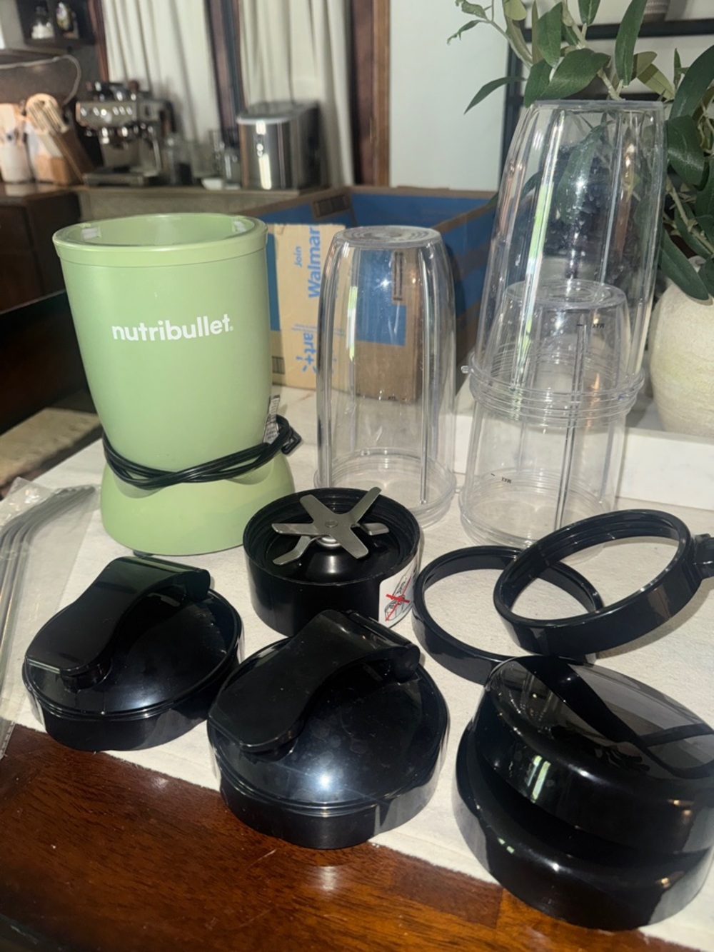 Nutribullet Pro in Sage green